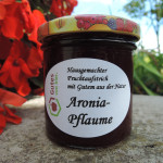 FA 165g Foto K. Dittrich.JPG