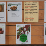 Kartoffelangebot-AG-Polenztal-2025-2026