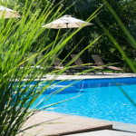 Pool nah Pura Parkhotel Bad Schandau (M.Gawlik).jpg